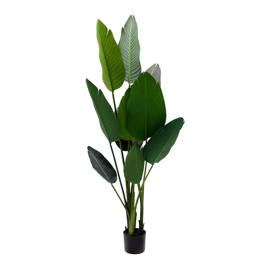 Штучна рослина Engard Banana Tree 155 см (TW-09)
