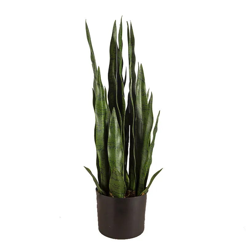 Штучна рослина Engard Sansevieria 65 см (DW-10)