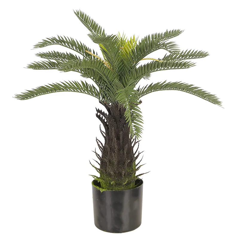Штучна рослина Engard Cycas Palm 60 см (DW-25)
