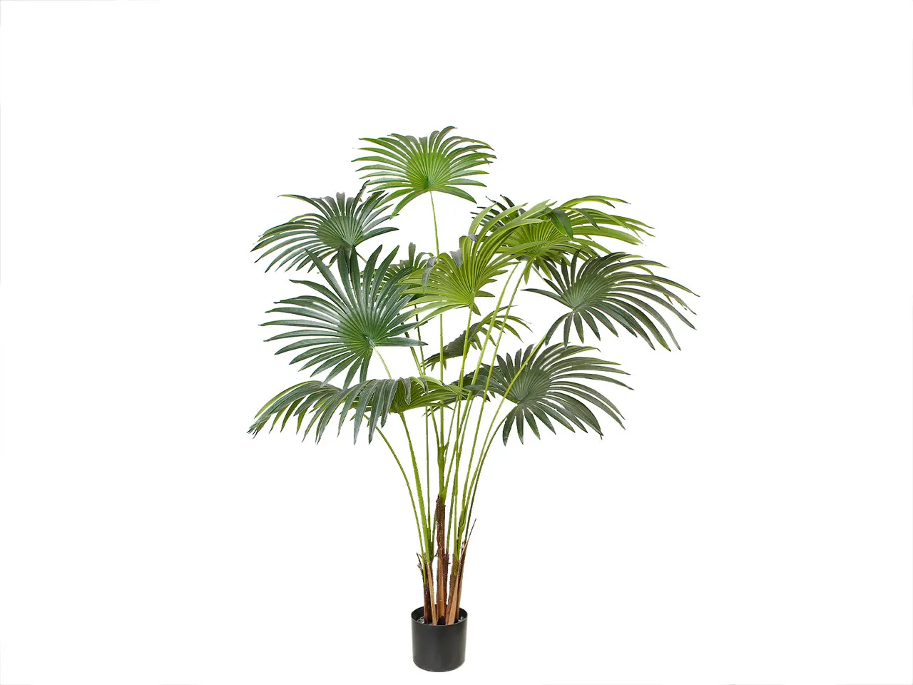 Штучна рослина Engard Fan Palm 150 см (DW-28)