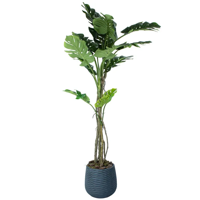 Штучна рослина Engard Monstera 180 см в кашпо (TW-0587-1)