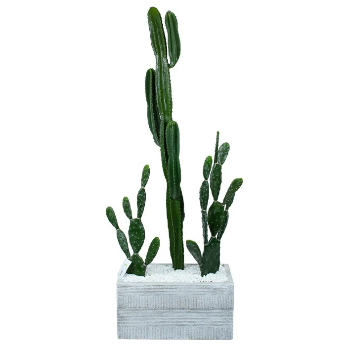 Набір штучних рослин Engard Cactus в кашпо (TW-40414268-1)