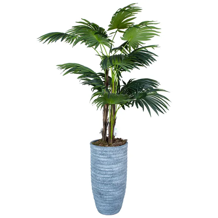 Штучна рослина Engard Cycas Palm 150 см в кашпо (DW-2378-2)