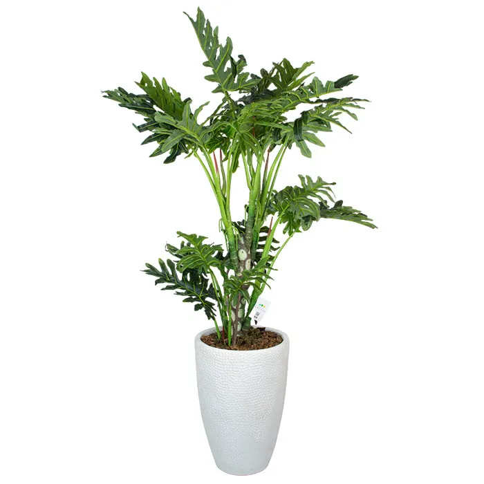 Штучна рослина Engard Lacy Tree 150 см в кашпо (DW-2932-3)